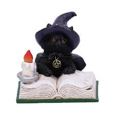 Nemesis Now Familiars Spell Witch Cat Statue