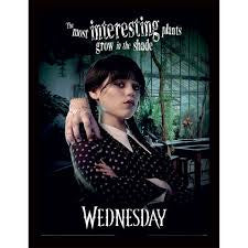 Wednesday Addams Shade Framed Print