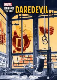 Marvel Daredevil Graphic Novel