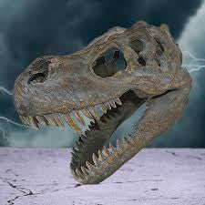 Nemesis Now Tyrannosaurus Skull