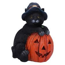 Nemesis Now Trick or Treat Cat Statue