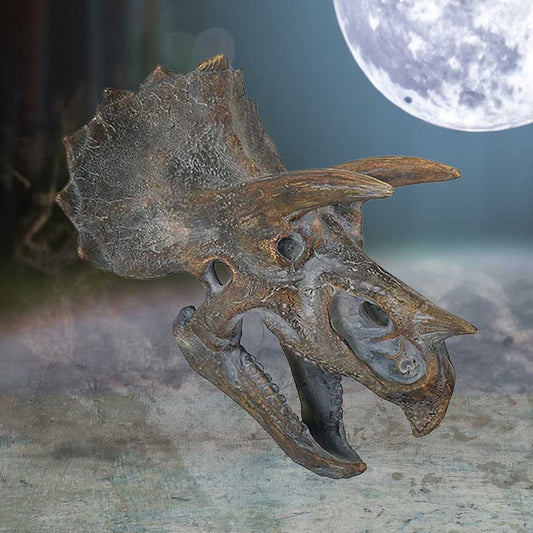 Nemesis Now Triceratops Skull
