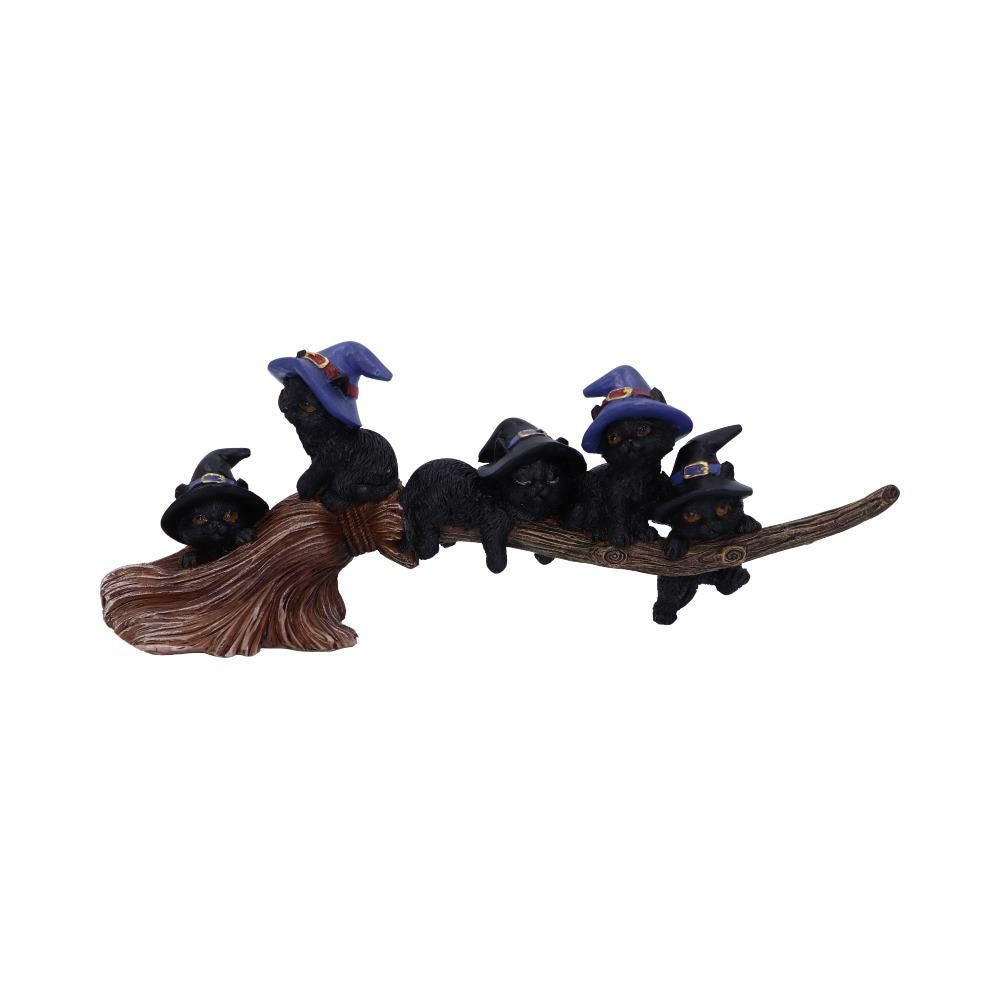 Nemesis Now Purrfect Broomstick
