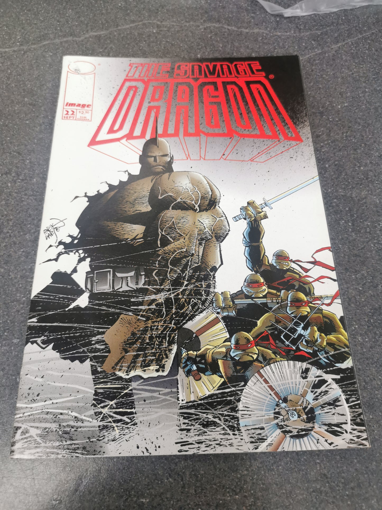 The Savage Dragon #22 1995 Image comics Turtles tmnt cover