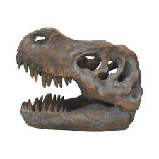 Nemesis Now Tyrannosaurus Skull