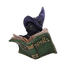 Nemesis Now Kitty’s Grimoire (Green)