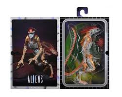 Aliens Panther Alien Ultimate Neca Figure