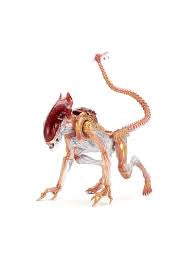 Aliens Panther Alien Ultimate Neca Figure